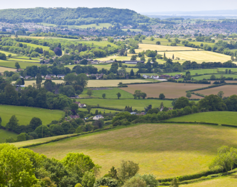 Specialists in market town property and countryside issues throughout the North West