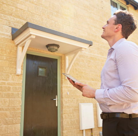 Our professional services include…