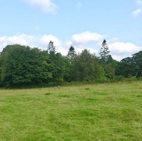 Land at West Lynn, Colne