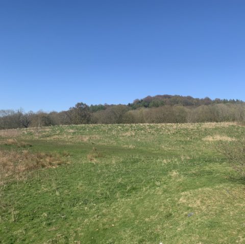 Land at Admirals Wood, Whalley