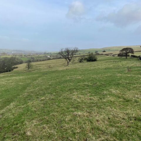 Land & Grassed Quarry, Kelbrook