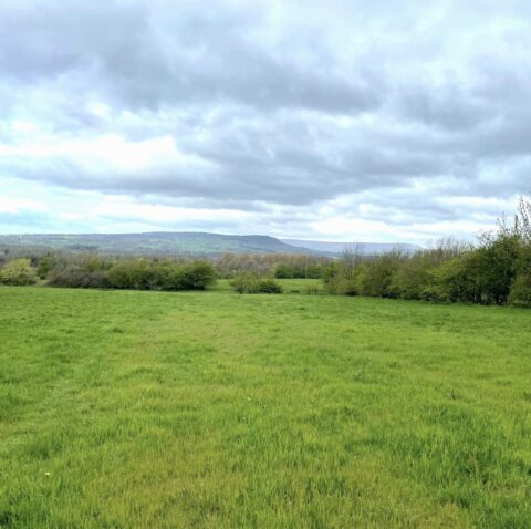 Land at Wiswell